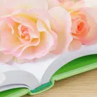 ごあいさつ